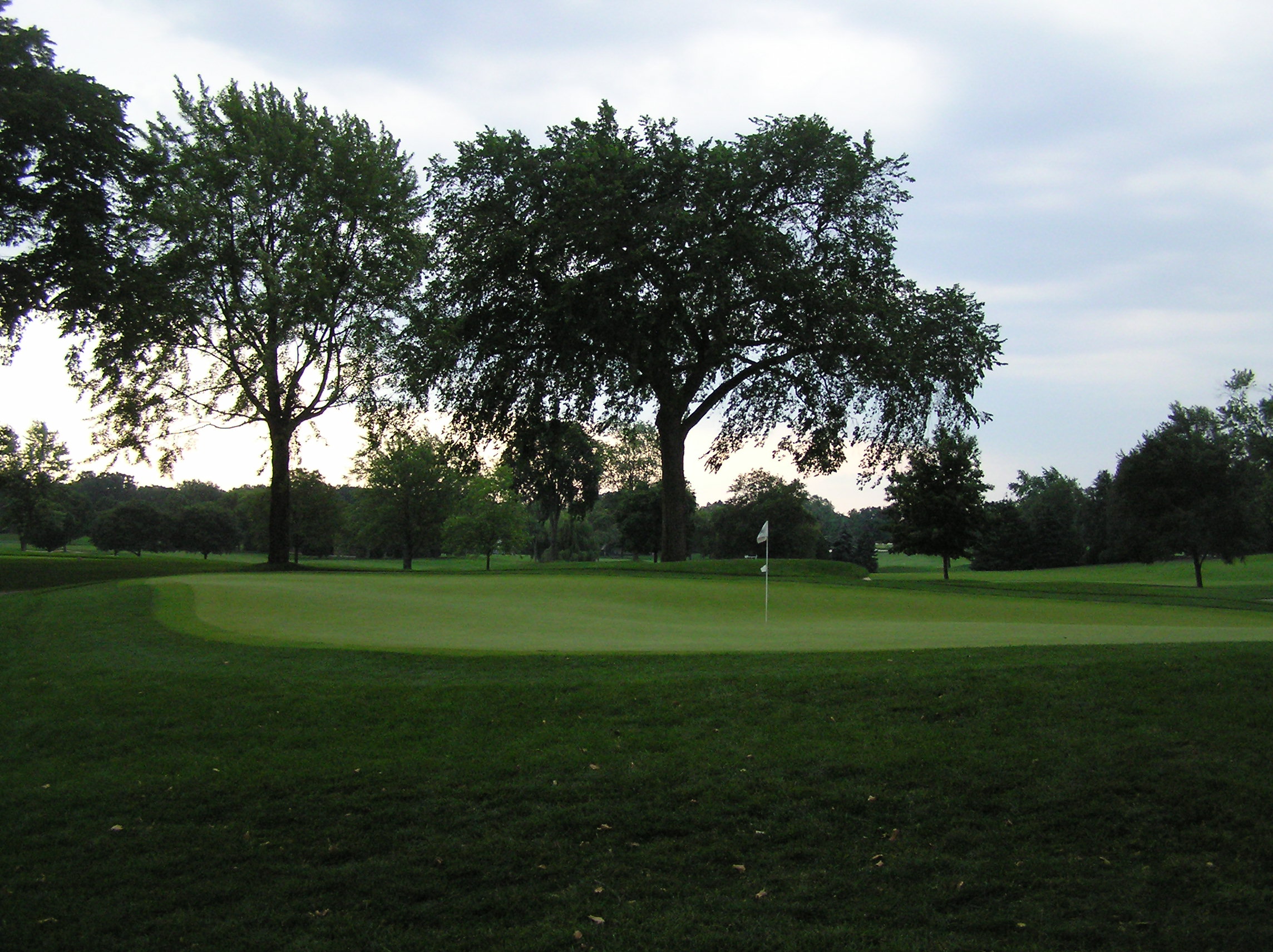 golf Oukland 
